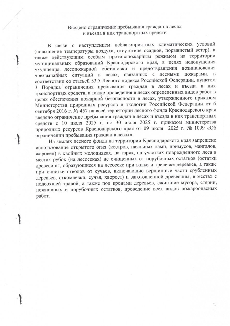 Введено ограничение пребывания граждан в лесах и въезда в них транспортных средств