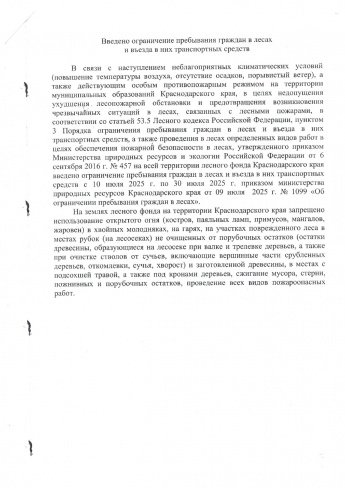 Введено ограничение пребывания граждан в лесах и въезда в них транспортных средств