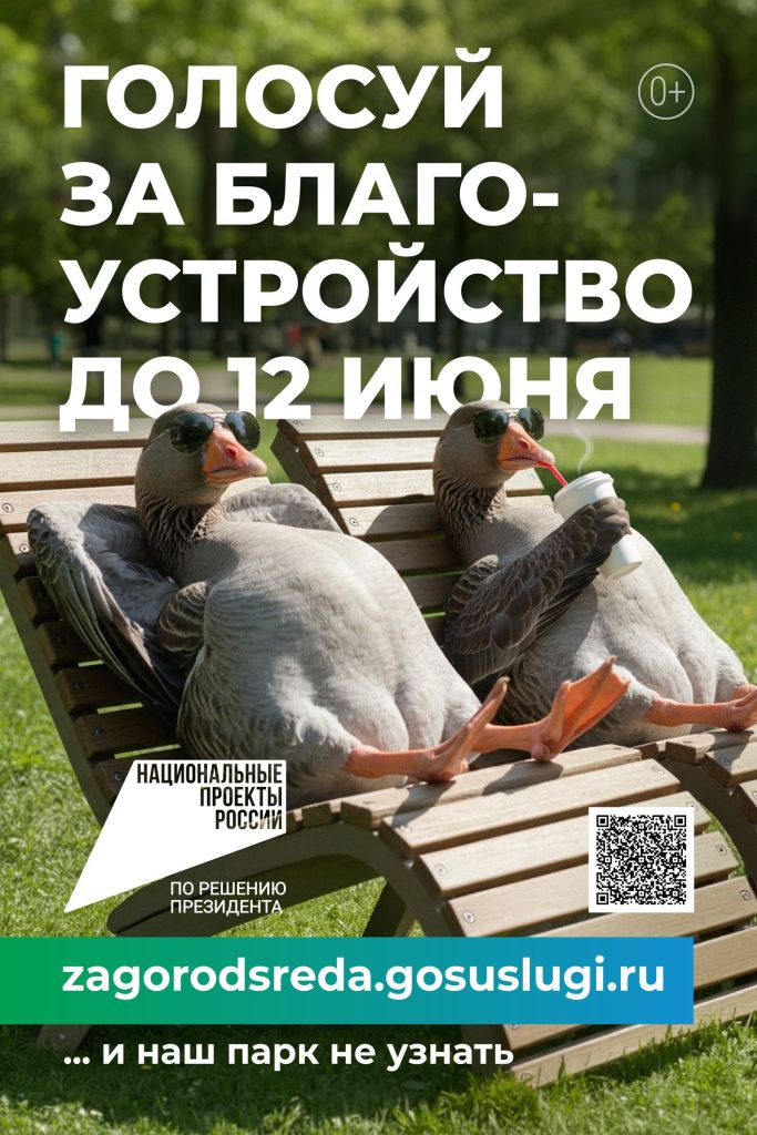 ГОЛОСУЙ ЗА БЛАГОУСТРОЙСТВО ДО 12 ИЮНЯ!