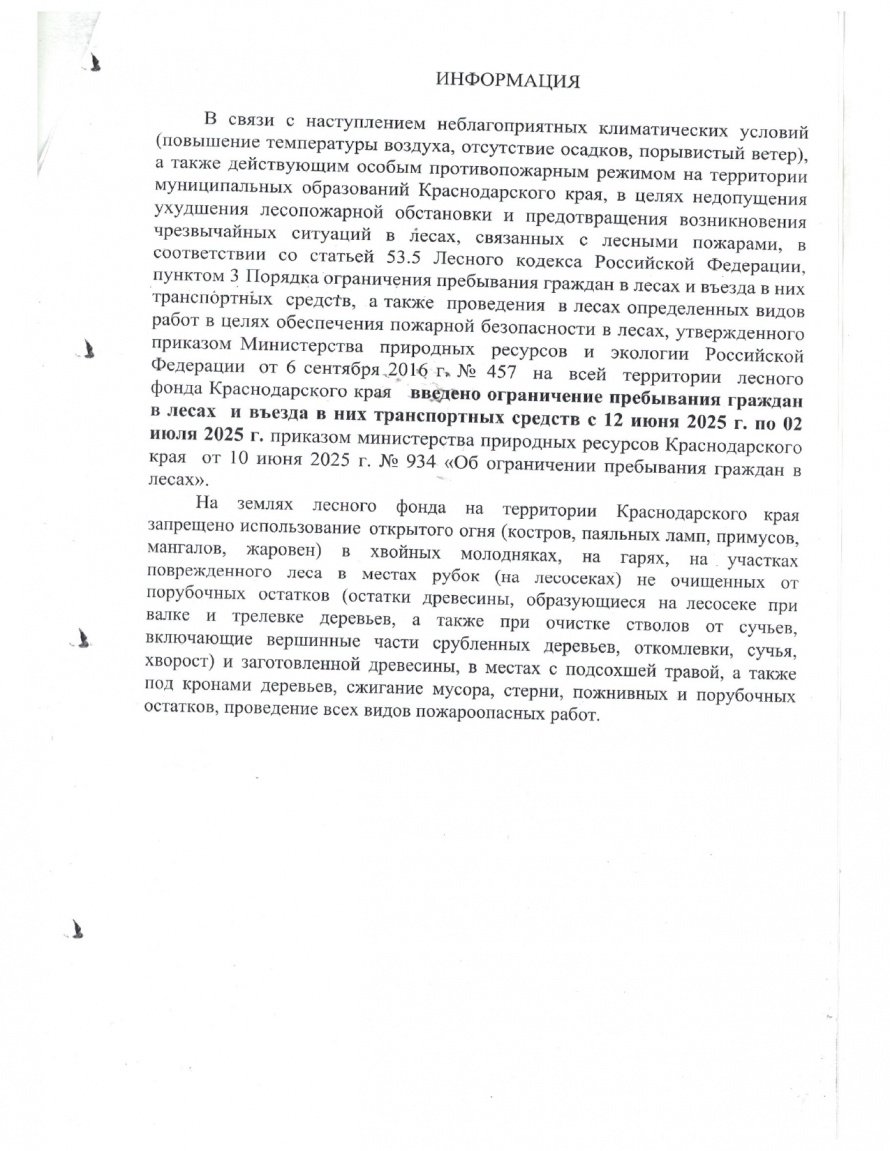 Ограничение пребывания граждан в лесах с 12 июня по 2 июля 2025 года