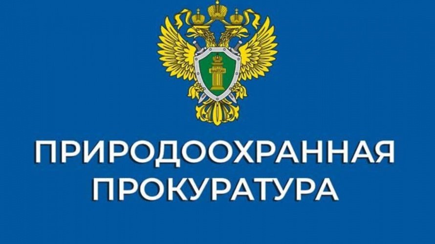 Об изменениях, внесенных в содержание ходатайства о переводе земель лесного фонда в другую категорию