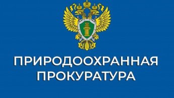 Об изменениях, внесенных в содержание ходатайства о переводе земель лесного фонда в другую категорию