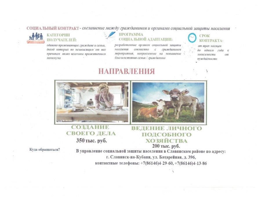 Социальный контракт. Ведение личного подсобного хозяйства 